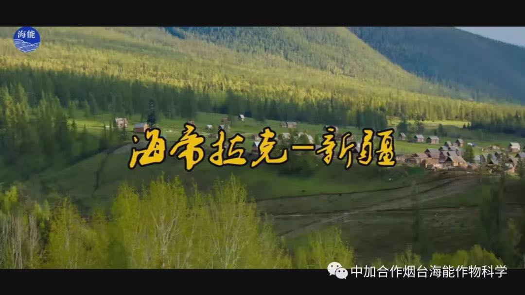 顆粒水溶肥 顆粒水溶肥