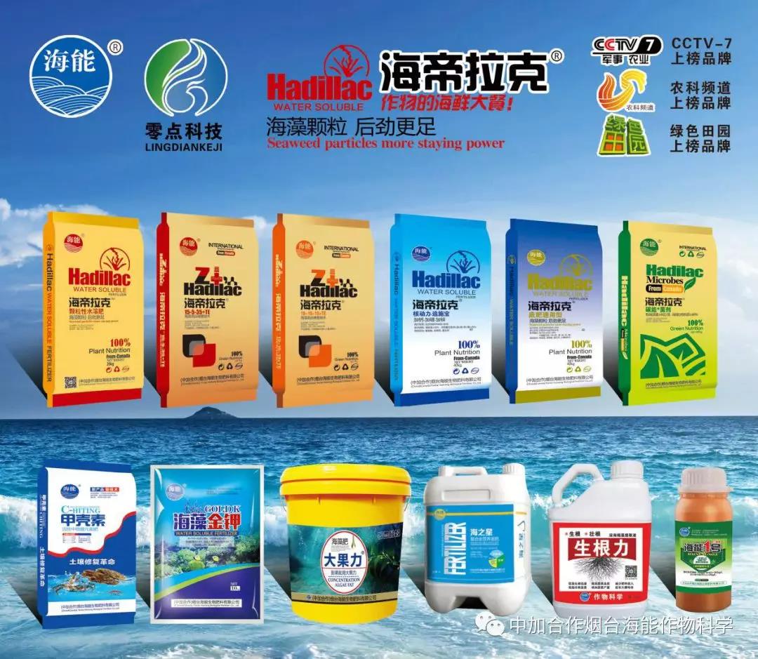 膨果水溶肥 膨果水溶肥