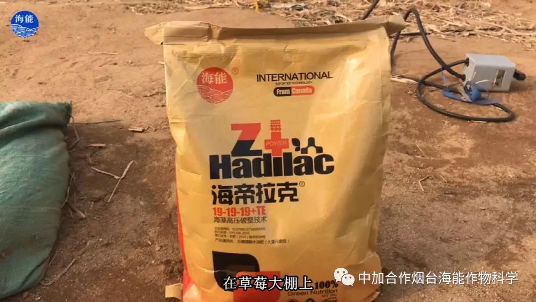 大量元素水溶肥 大量元素水溶肥