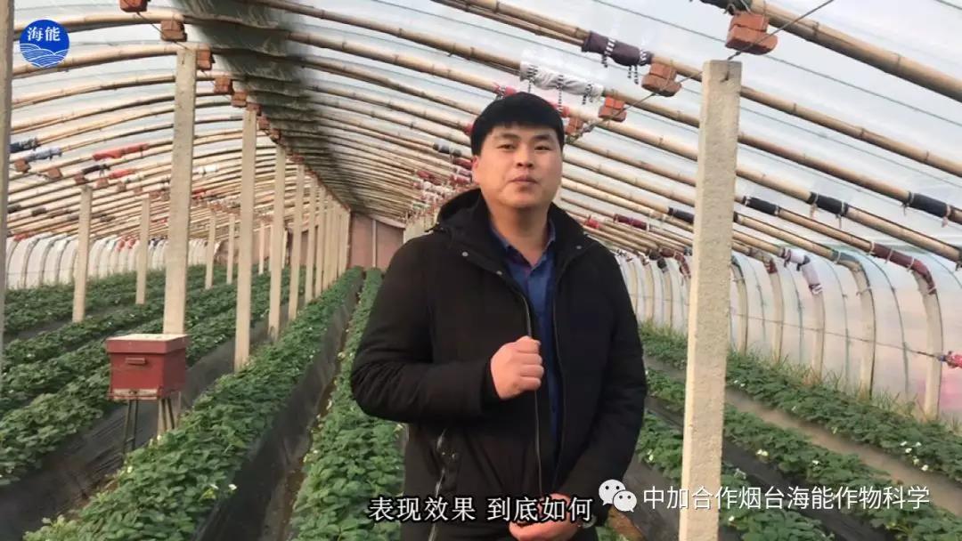 大量元素水溶肥 大量元素水溶肥