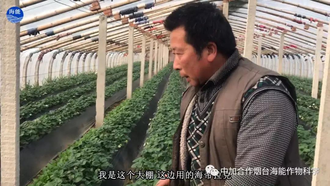 大量元素水溶肥 大量元素水溶肥