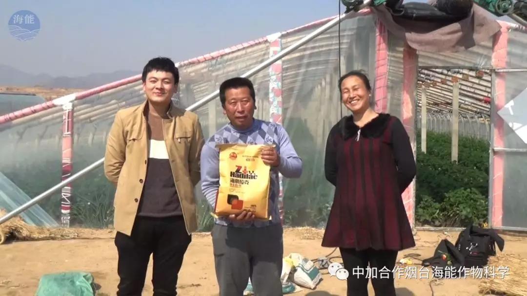 大量元素水溶肥 大量元素水溶肥