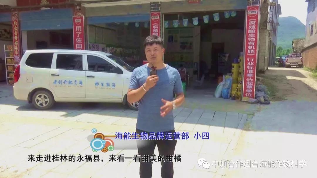 顆粒水溶肥 顆粒水溶肥