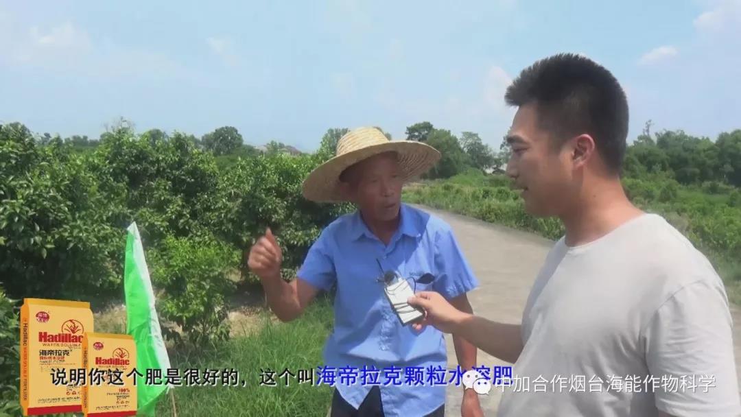 顆粒水溶肥 顆粒水溶肥