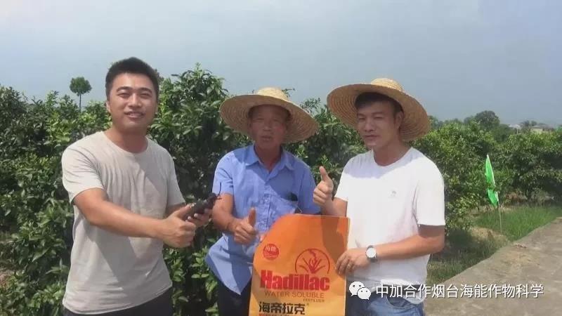 顆粒水溶肥 顆粒水溶肥