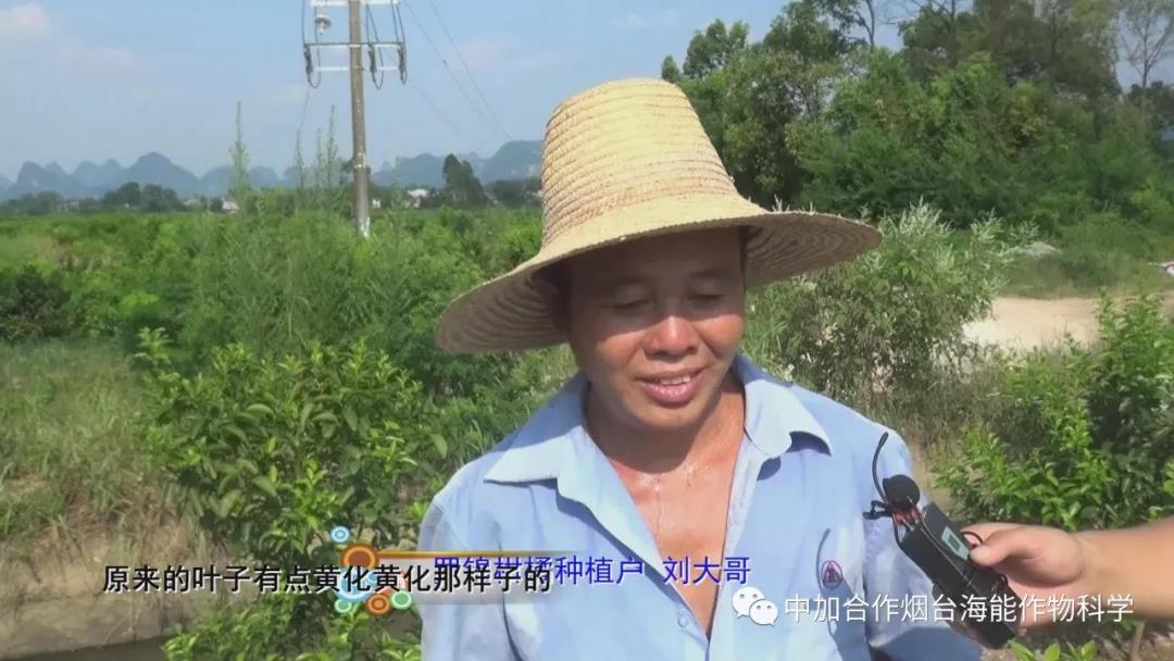 顆粒水溶肥 顆粒水溶肥