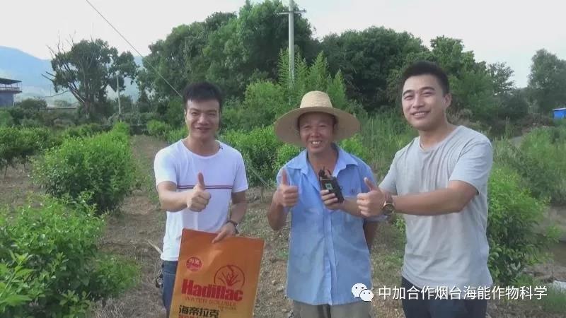 顆粒水溶肥 顆粒水溶肥