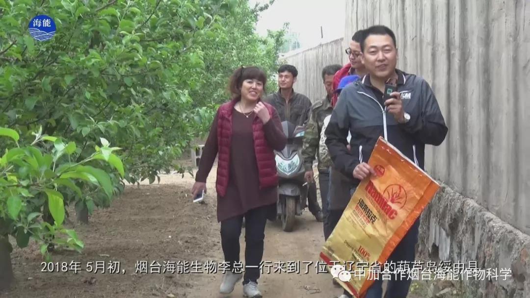 顆粒水溶肥 顆粒水溶肥