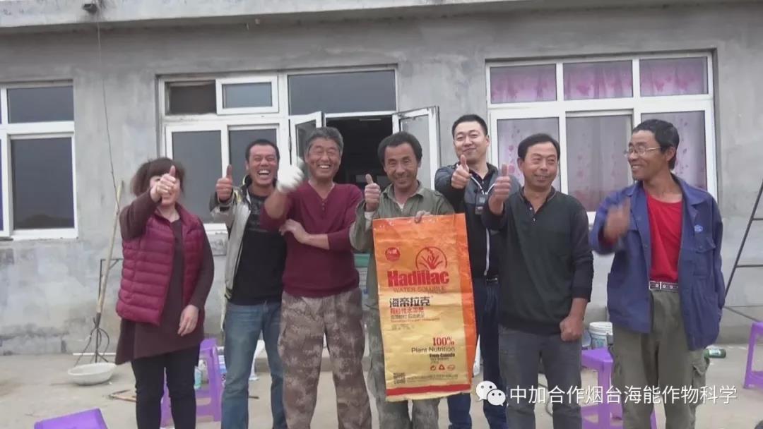 顆粒水溶肥 顆粒水溶肥