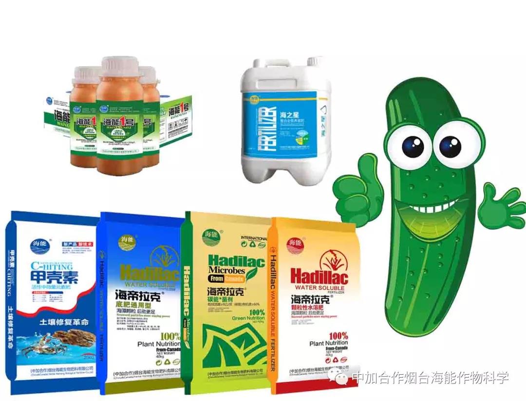 膨果水溶肥 膨果水溶肥