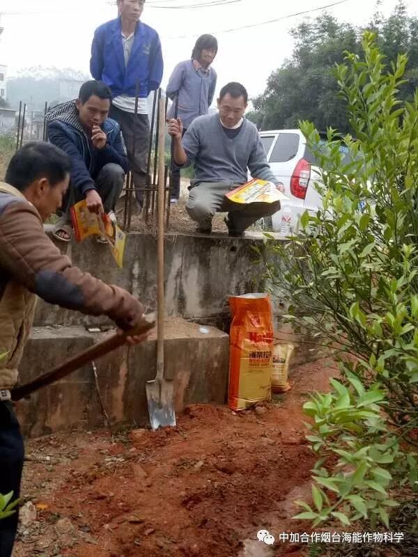 膨果水溶肥 膨果水溶肥