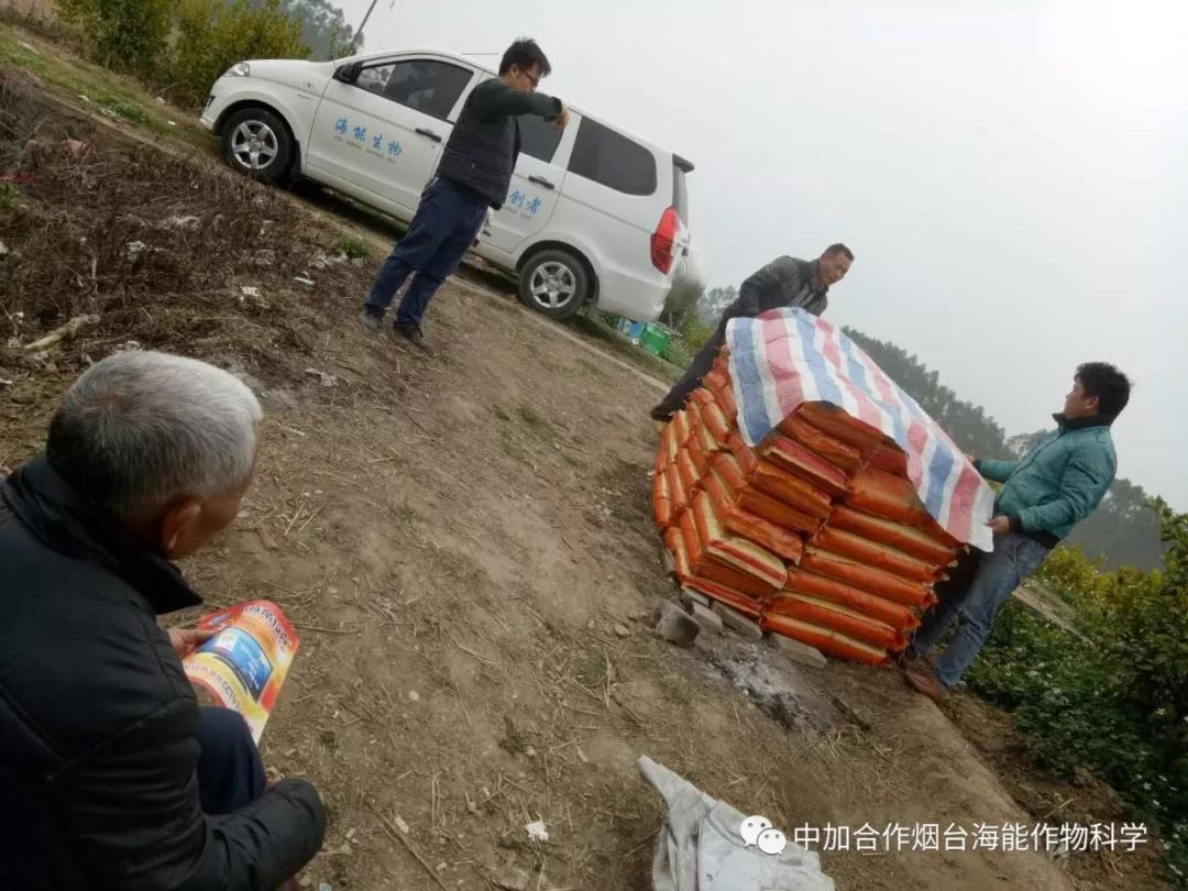 膨果水溶肥 膨果水溶肥