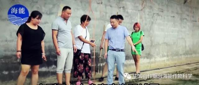 大量元素水溶肥 大量元素水溶肥