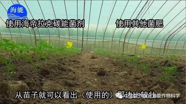 大量元素水溶肥 大量元素水溶肥