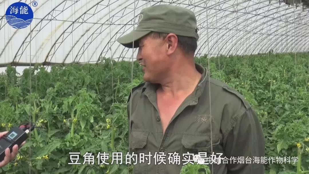 膨果水溶肥 膨果水溶肥