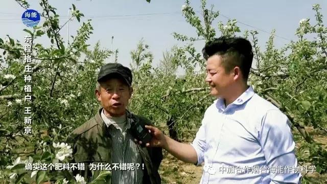 膨果水溶肥 膨果水溶肥