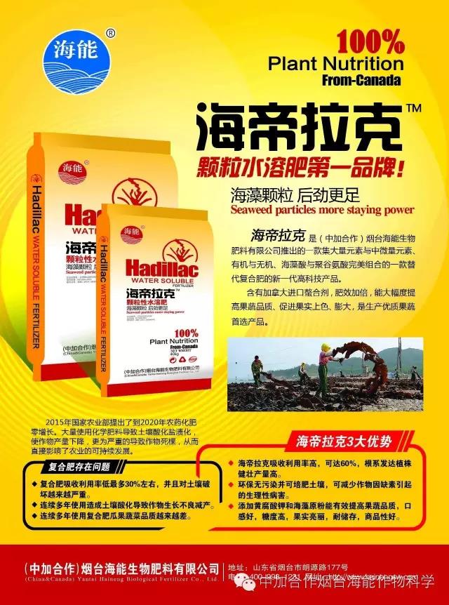 膨果水溶肥 膨果水溶肥