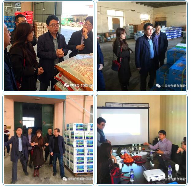 91免费看污羞羞的视频出口品質，專注服務農業 