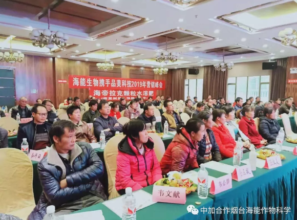 海帝拉克巔峰會議背後的故事第二集來襲 海帝拉克巔峰會議背後的故事第二集來襲