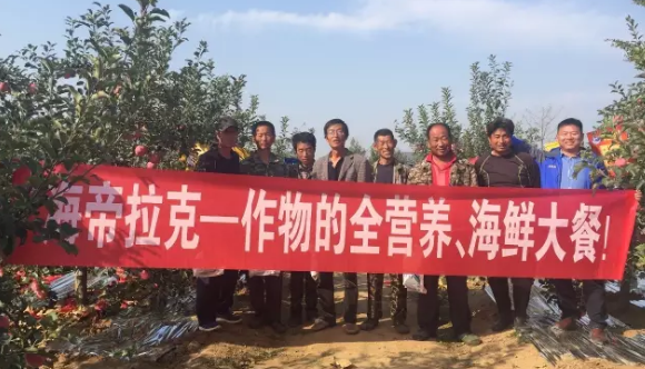 蘋果樹12月管理技術要點！抓緊時間看