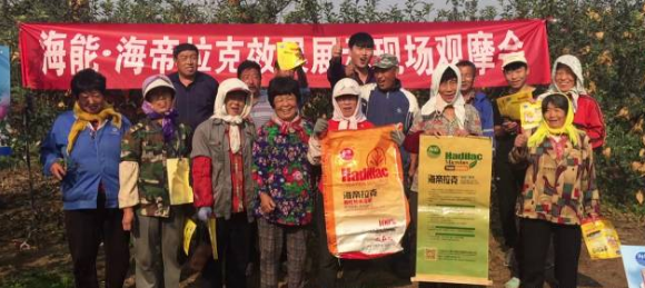 蘋果樹12月管理技術要點！抓緊時間看