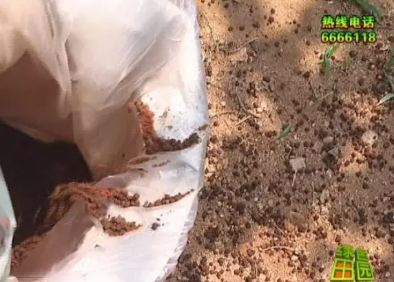 煙台電視台綠色田園海帝拉克專題報道 煙台電視台綠色田園海帝拉克專題報道