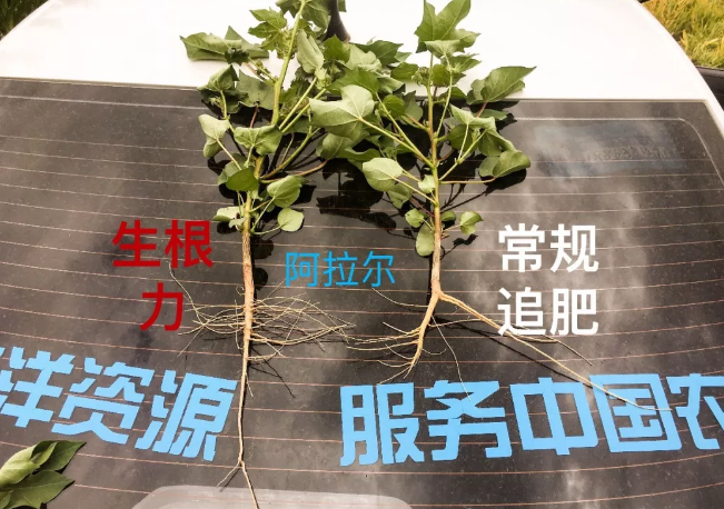 天山、戈壁、沙漠91免费看污羞羞的视频與你在這裏相遇