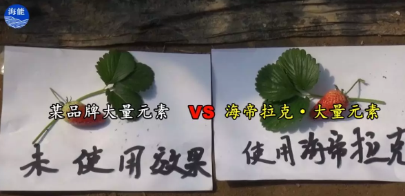 水肥一體化不止是節水、節肥！還有這功效！