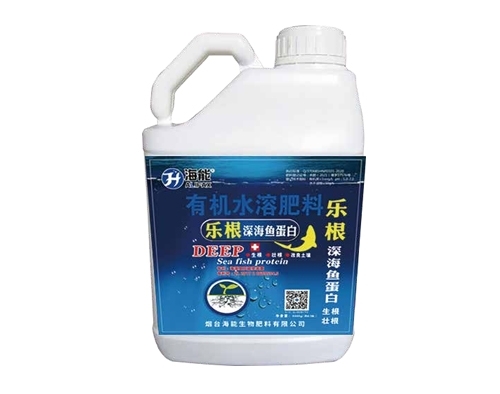 1701417413213383.jpg 6.jpg